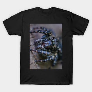 Teeny-Tiny Dark Jumping Spider Macro Photograph T-Shirt